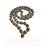 Premium Black Nepal Rudraksha With Bilva Mala – 54 Beads | 15mm