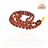 Five Face Nepal Colored Rudraksha Mala – 108 Beads Spiritual Mala